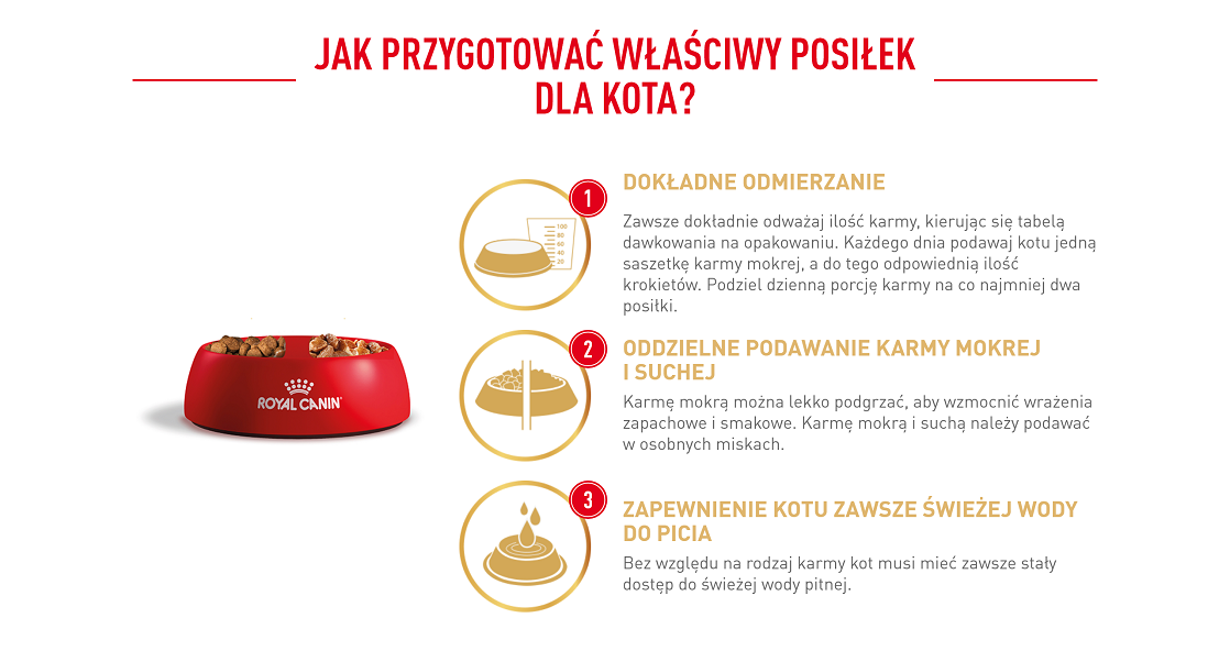 ROYAL CANIN Maine Coon Adult karma sucha dla kotów dorosłych rasy maine coon