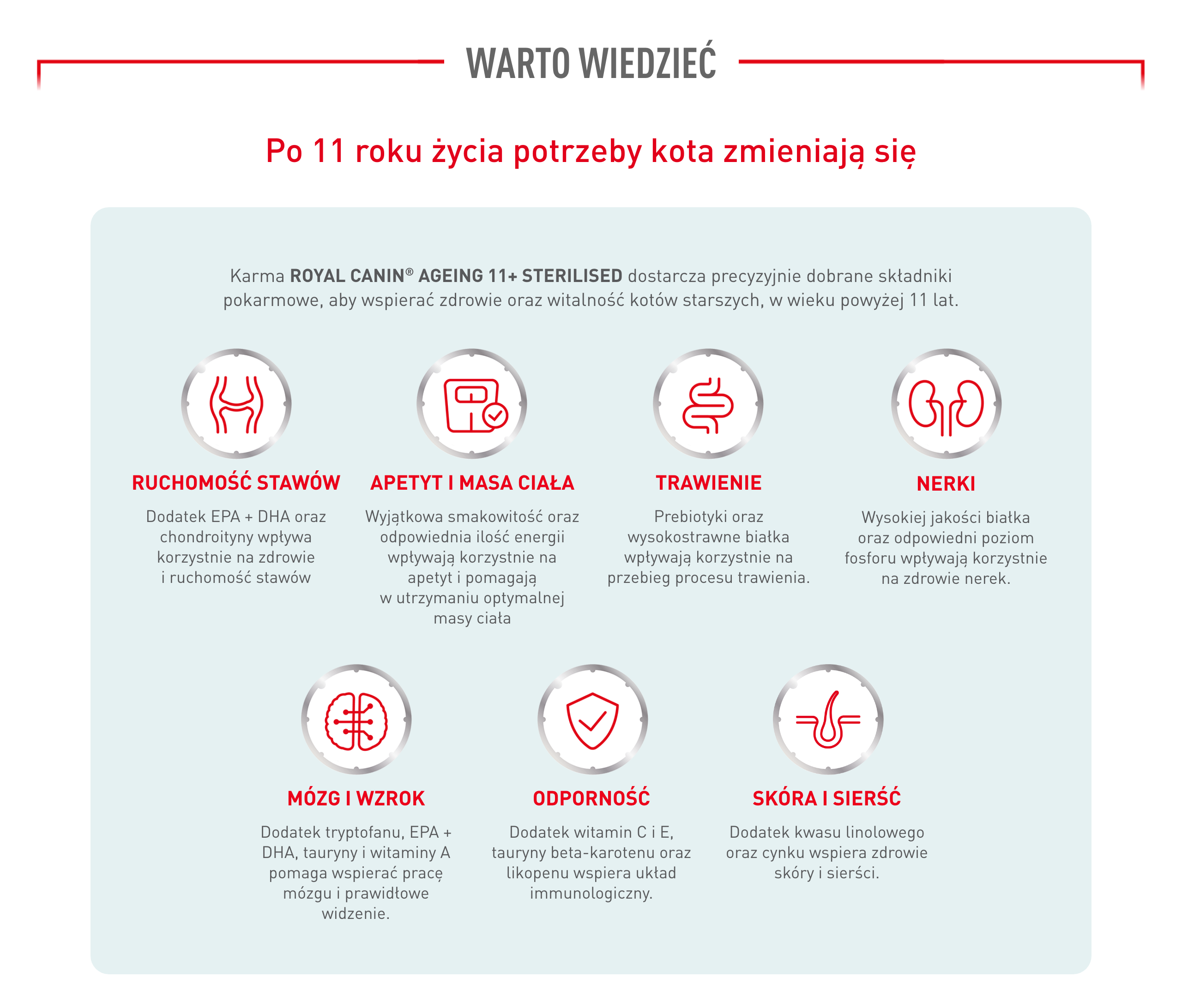 ROYAL CANIN Ageing Sterilised 11+