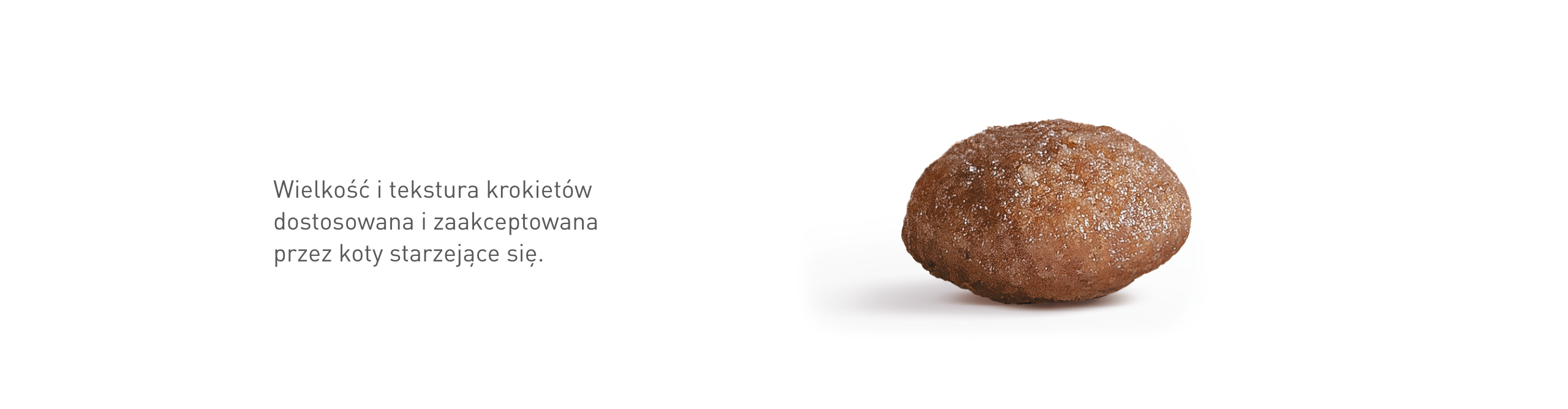 ROYAL CANIN Ageing Sterilised 11+