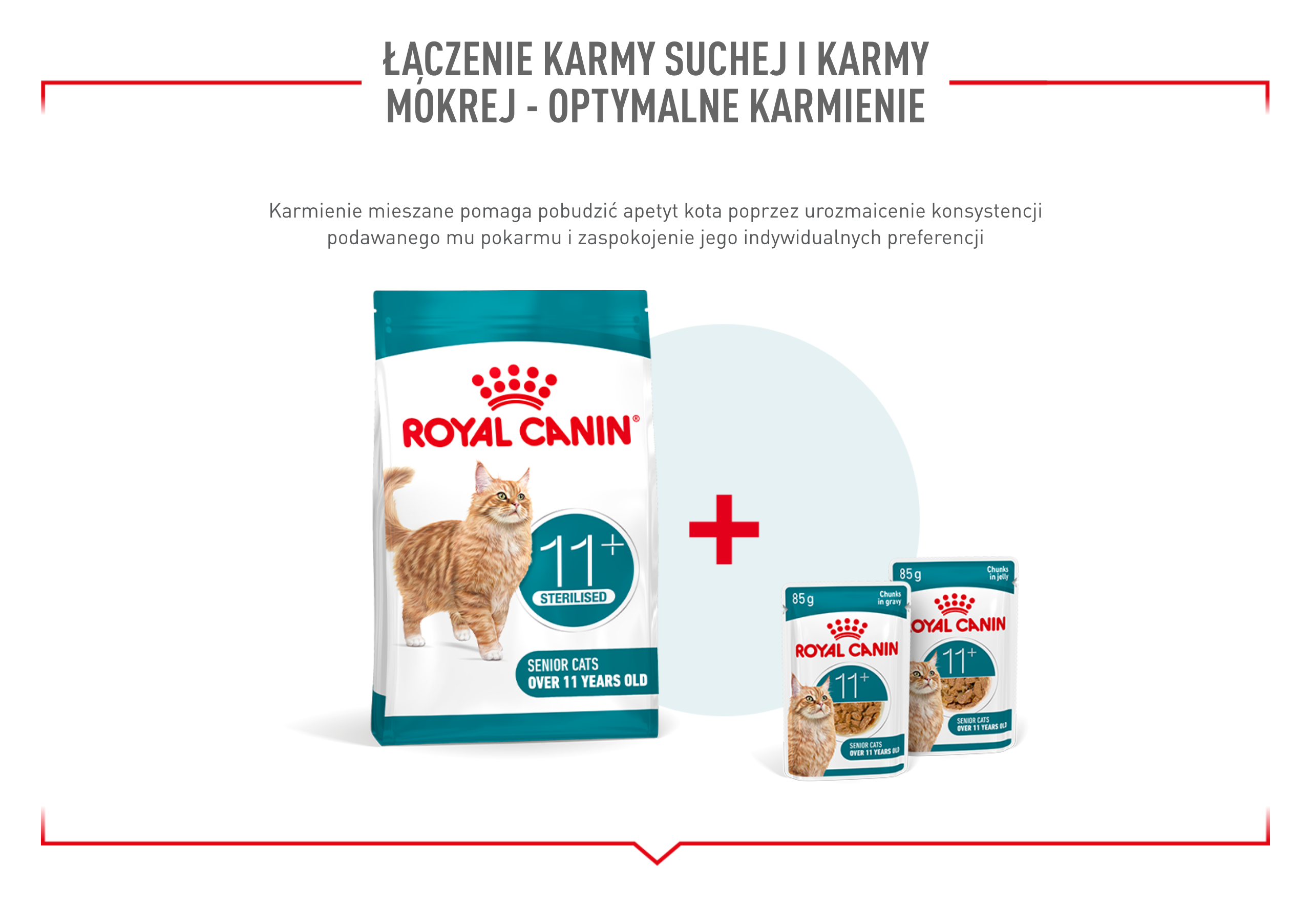 ROYAL CANIN Ageing Sterilised 11+