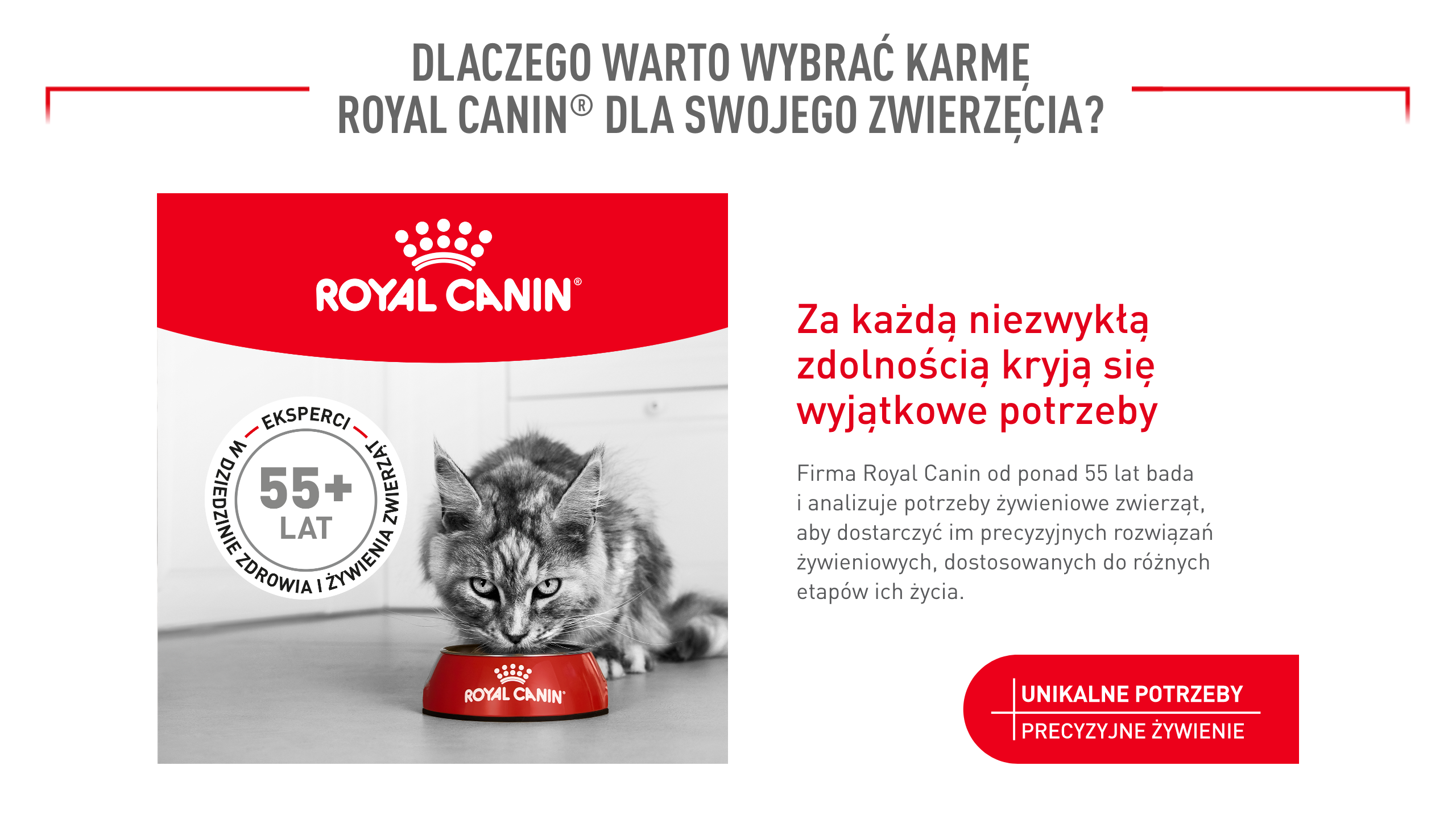 ROYAL CANIN Ageing Sterilised 11+