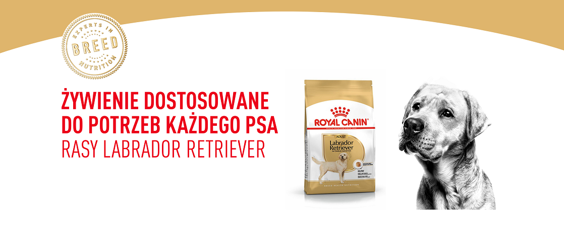 ROYAL CANIN Labrador retriever adult 12 kg karma sucha dla psów dorosłych do 5. roku życia, rasy labrador retriever