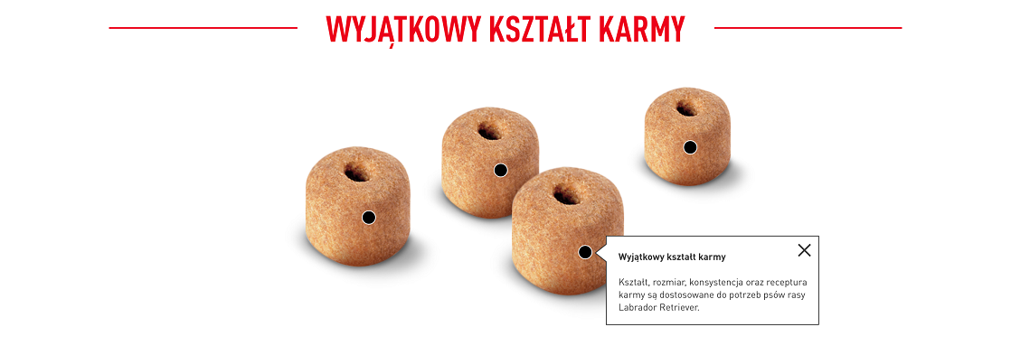 ROYAL CANIN Labrador retriever adult 12 kg karma sucha dla psów dorosłych do 5. roku życia, rasy labrador retriever