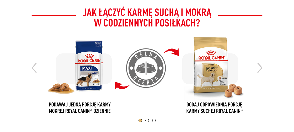 ROYAL CANIN Labrador retriever adult 12 kg karma sucha dla psów dorosłych do 5. roku życia, rasy labrador retriever