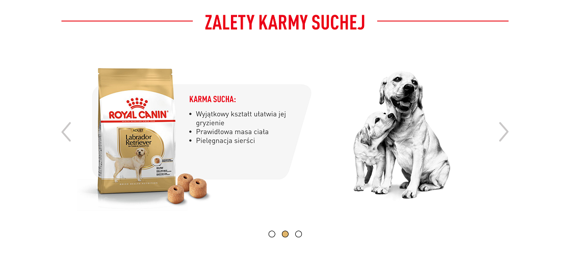 ROYAL CANIN Labrador retriever adult 12 kg karma sucha dla psów dorosłych do 5. roku życia, rasy labrador retriever