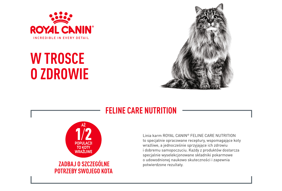 ROYAL CANIN Digestive Care 10 kg karma sucha dla kotów dorosłych wspierająca prawidłowe trawienie