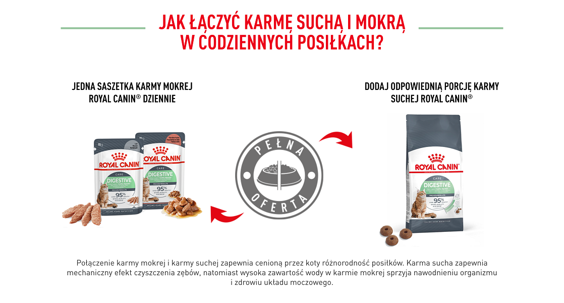 ROYAL CANIN Digestive Care 10 kg karma sucha dla kotów dorosłych wspierająca prawidłowe trawienie