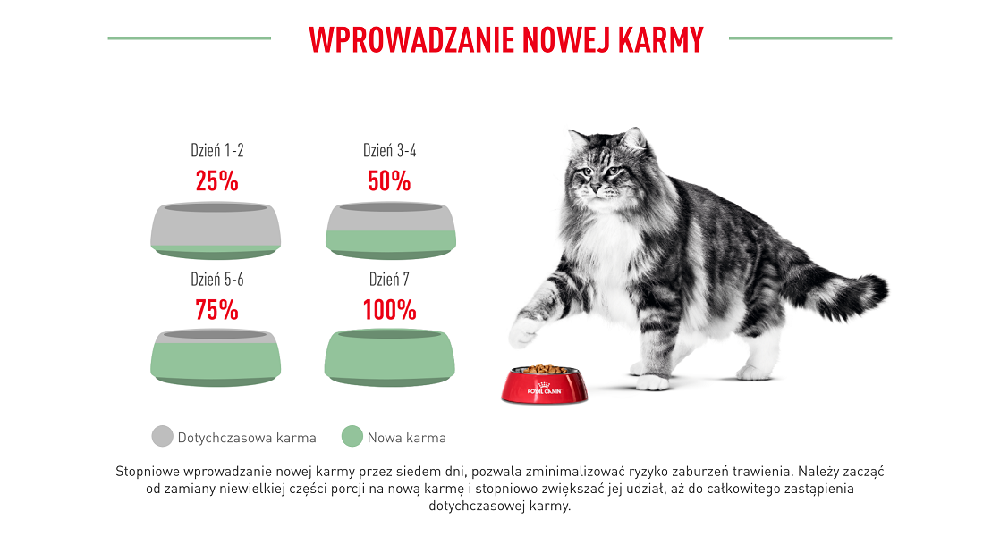 ROYAL CANIN Digestive Care 10 kg karma sucha dla kotów dorosłych wspierająca prawidłowe trawienie
