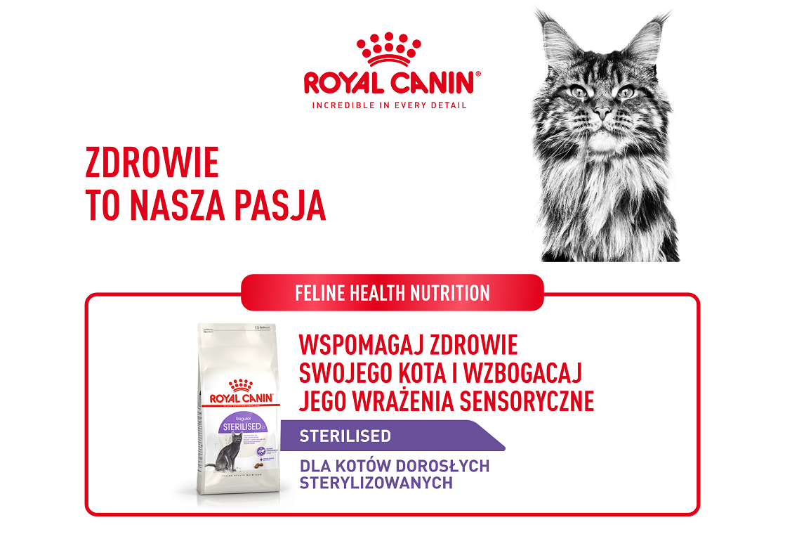 ROYAL CANIN Sterilised 37 10 kg karma sucha dla kotów dorosłych, sterylizowanych