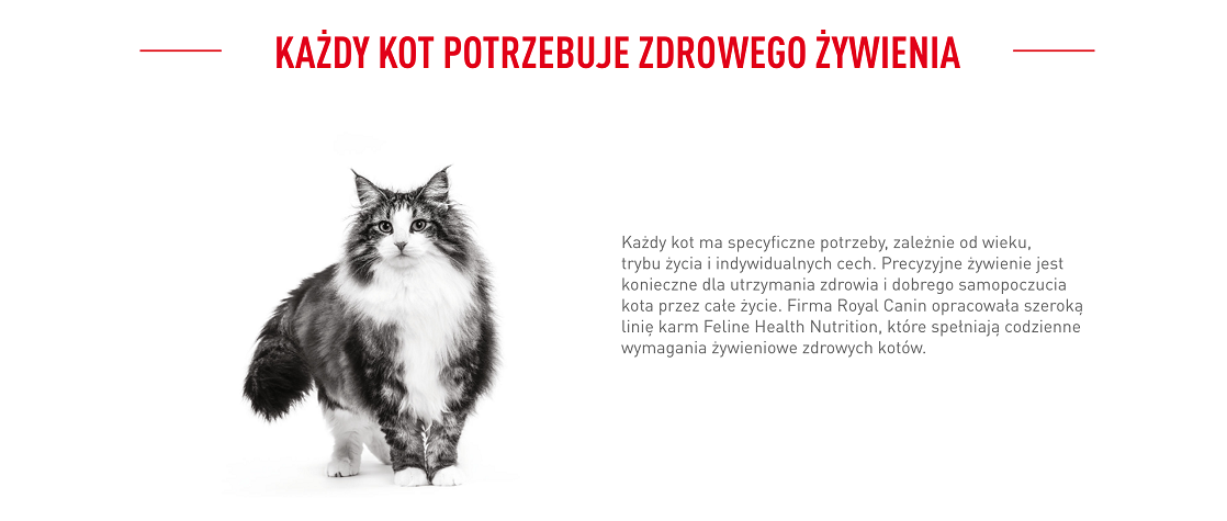 ROYAL CANIN Sterilised 37 10 kg karma sucha dla kotów dorosłych, sterylizowanych