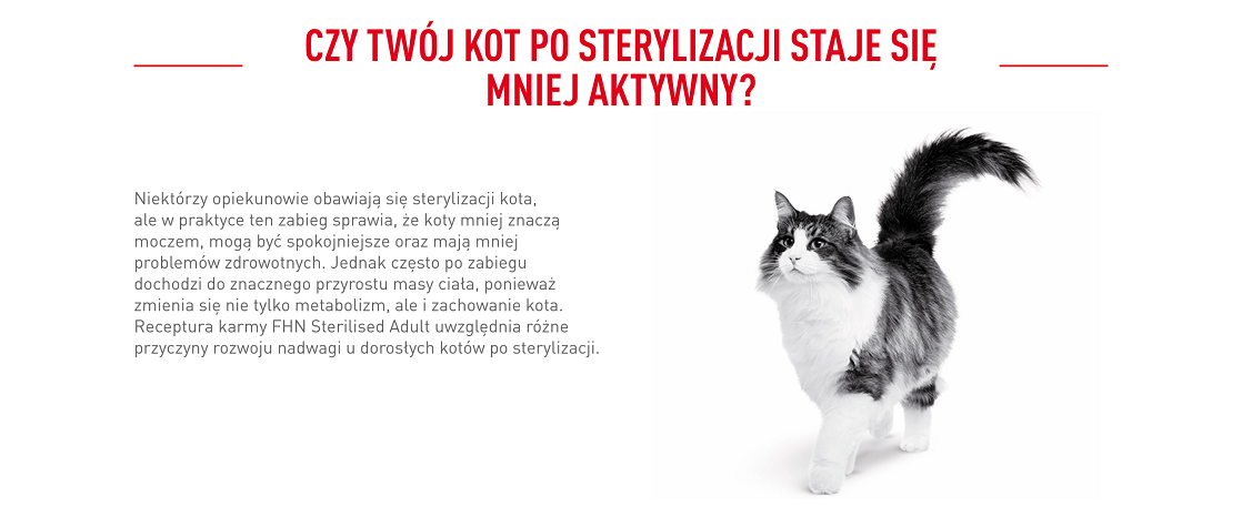 ROYAL CANIN Sterilised 37 10 kg karma sucha dla kotów dorosłych, sterylizowanych