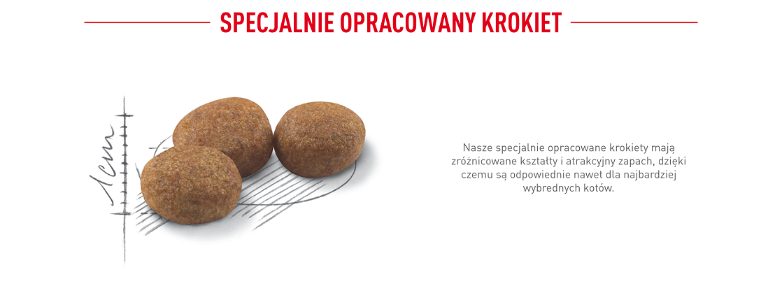 ROYAL CANIN Sterilised 37 10 kg karma sucha dla kotów dorosłych, sterylizowanych