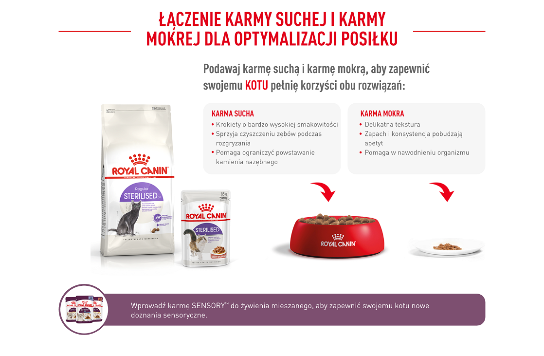 ROYAL CANIN Sterilised 37 10 kg karma sucha dla kotów dorosłych, sterylizowanych