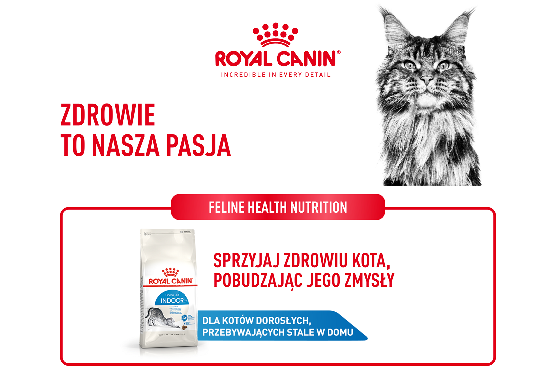 ROYAL CANIN Indoor 27 10 kg karma sucha dla kotów dorosłych, przebywających wyłącznie w domu