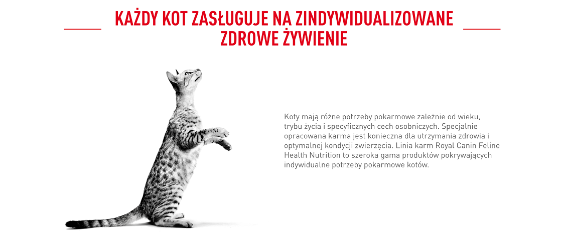 ROYAL CANIN Indoor 27 10 kg karma sucha dla kotów dorosłych, przebywających wyłącznie w domu