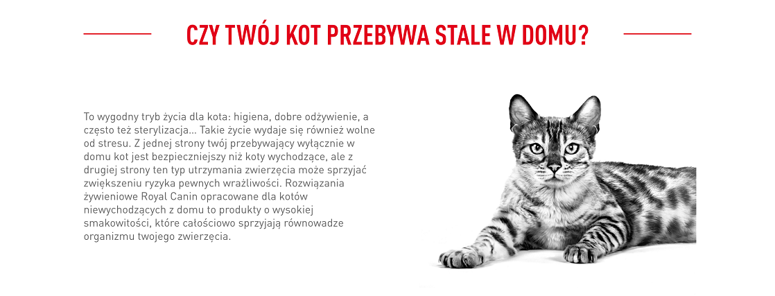 ROYAL CANIN Indoor 27 10 kg karma sucha dla kotów dorosłych, przebywających wyłącznie w domu