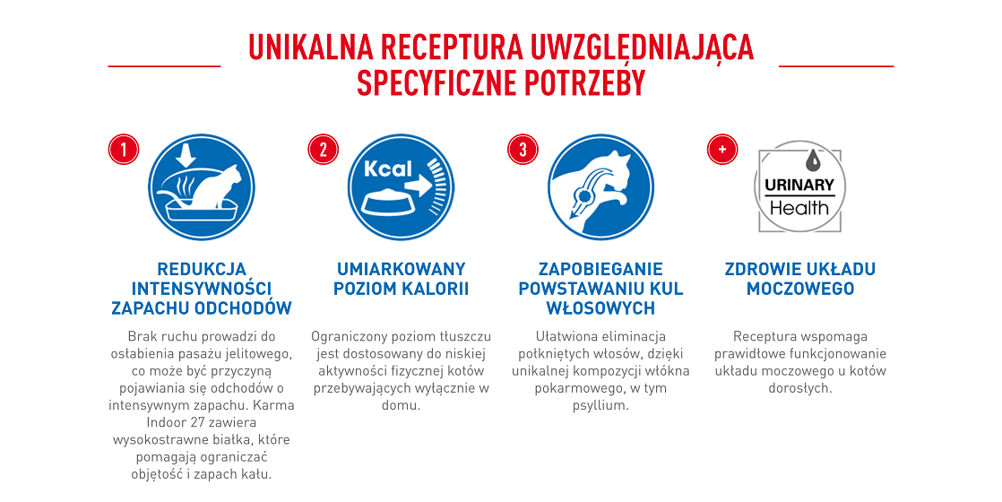 ROYAL CANIN Indoor 27 10 kg karma sucha dla kotów dorosłych, przebywających wyłącznie w domu