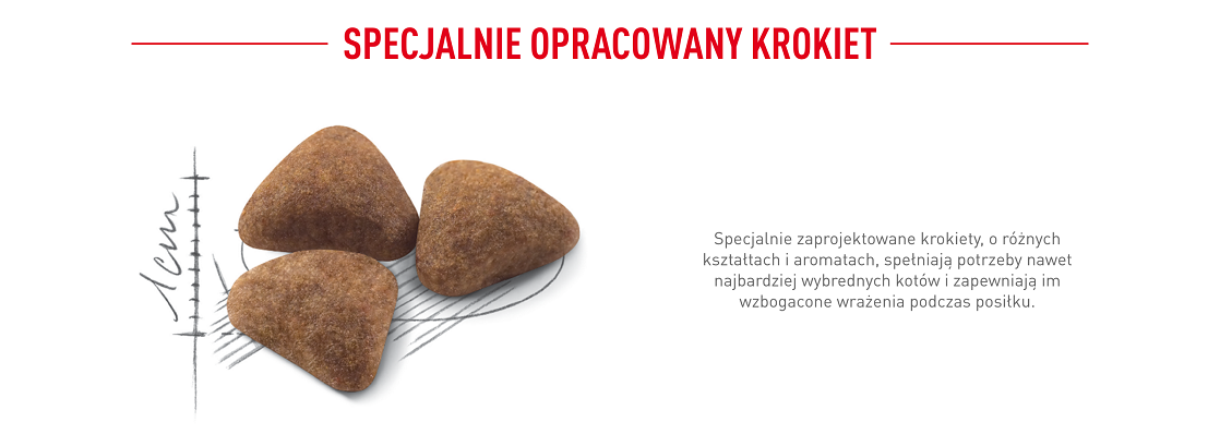 ROYAL CANIN Indoor 27 10 kg karma sucha dla kotów dorosłych, przebywających wyłącznie w domu