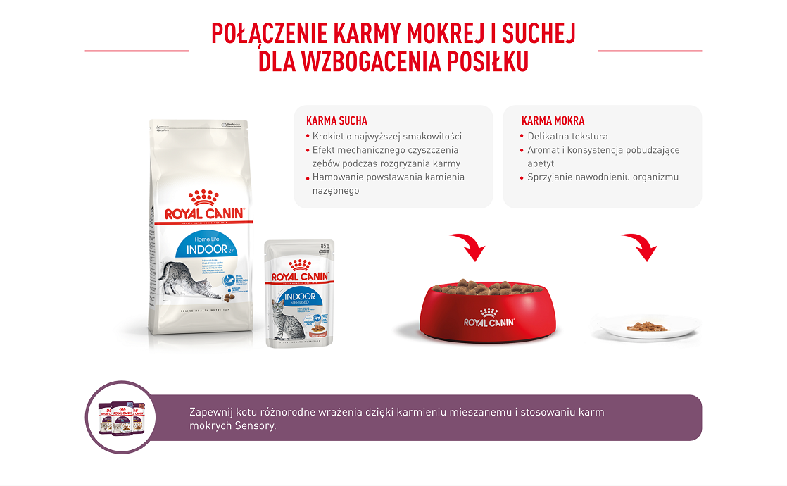 ROYAL CANIN Indoor 27 10 kg karma sucha dla kotów dorosłych, przebywających wyłącznie w domu
