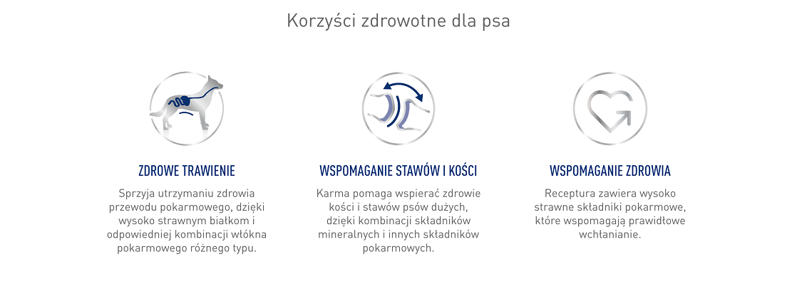 ROYAL CANIN Maxi Adult 10kg karma sucha dla psów dorosłych, do 5 roku życia, ras dużych