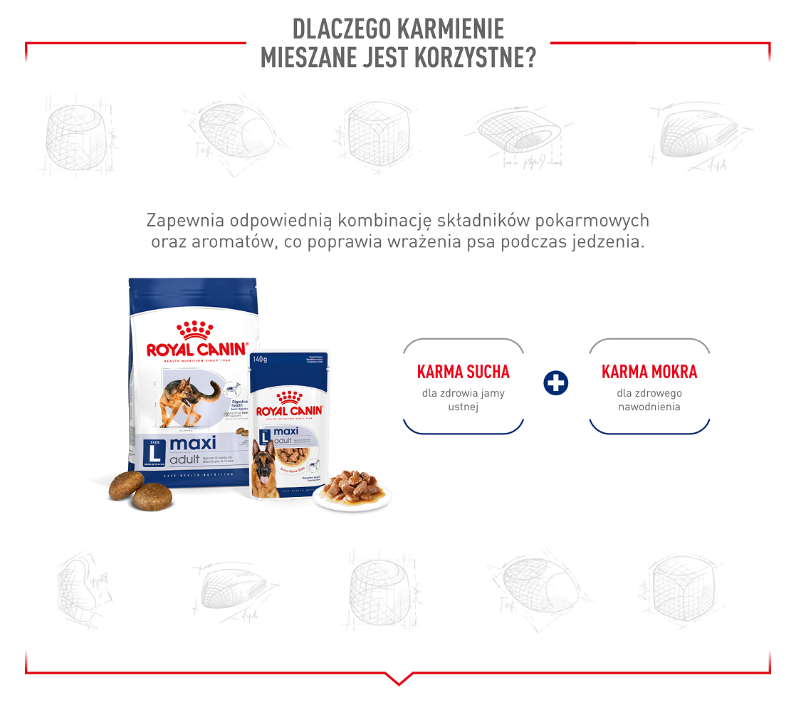 ROYAL CANIN Maxi Adult 10kg karma sucha dla psów dorosłych, do 5 roku życia, ras dużych