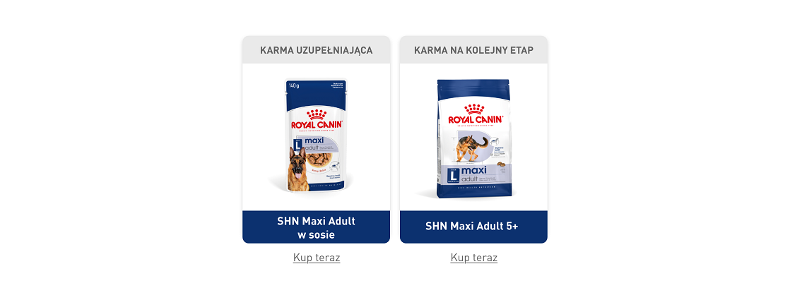 ROYAL CANIN Maxi Adult 10kg karma sucha dla psów dorosłych, do 5 roku życia, ras dużych
