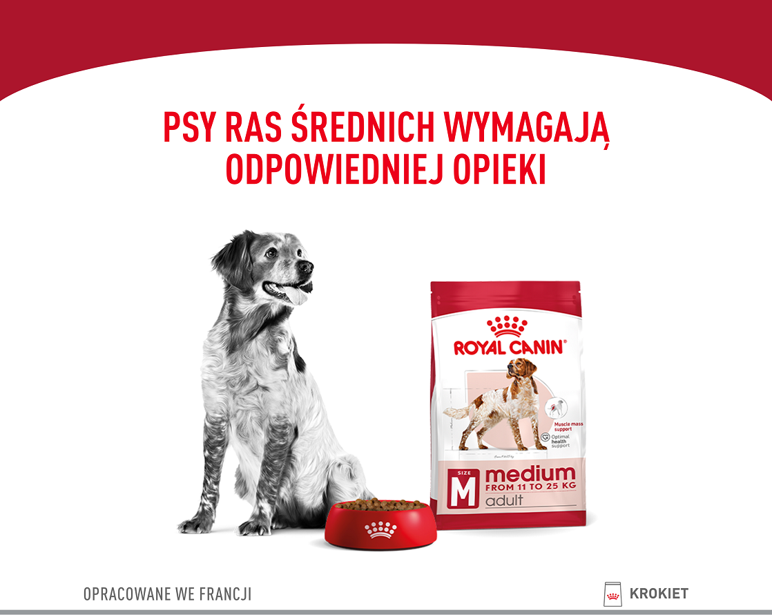 ROYAL CANIN Medium Adult 15kg karma sucha dla psów dorosłych, ras średnich