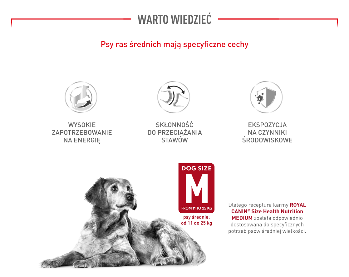 ROYAL CANIN Medium Adult 15kg karma sucha dla psów dorosłych, ras średnich