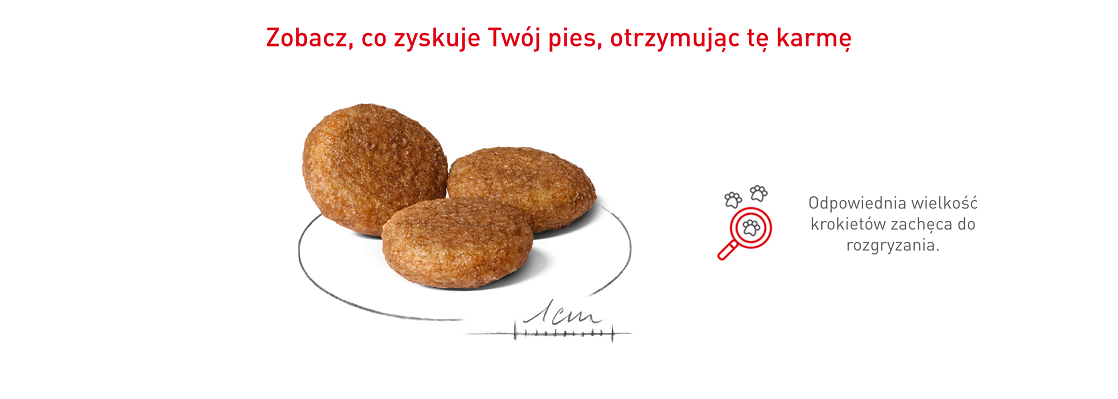 ROYAL CANIN Medium Adult 15kg karma sucha dla psów dorosłych, ras średnich