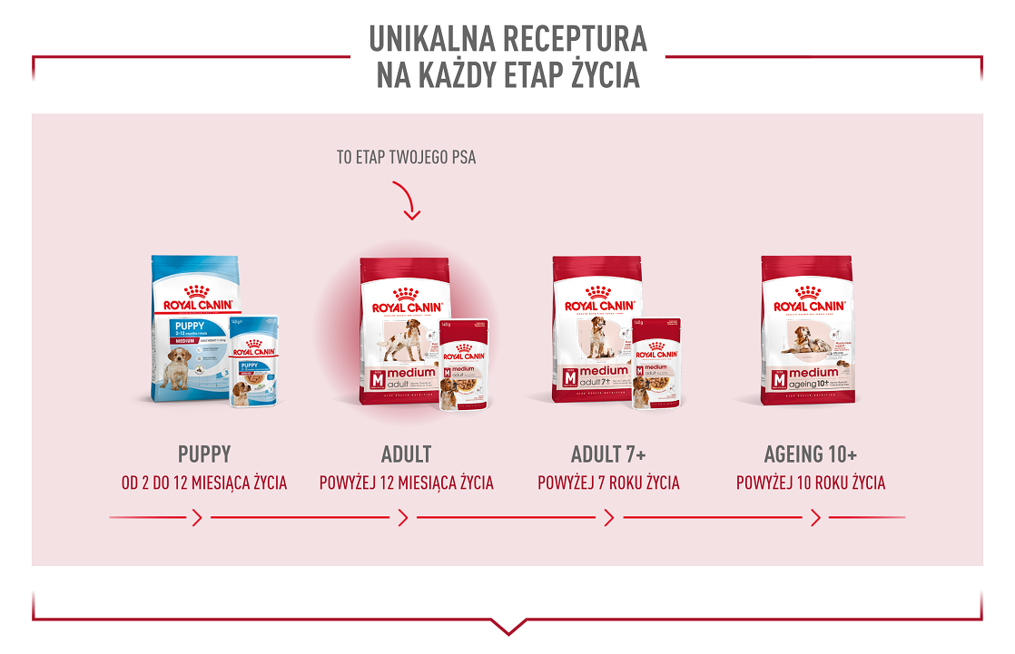 ROYAL CANIN Medium Adult 15kg karma sucha dla psów dorosłych, ras średnich