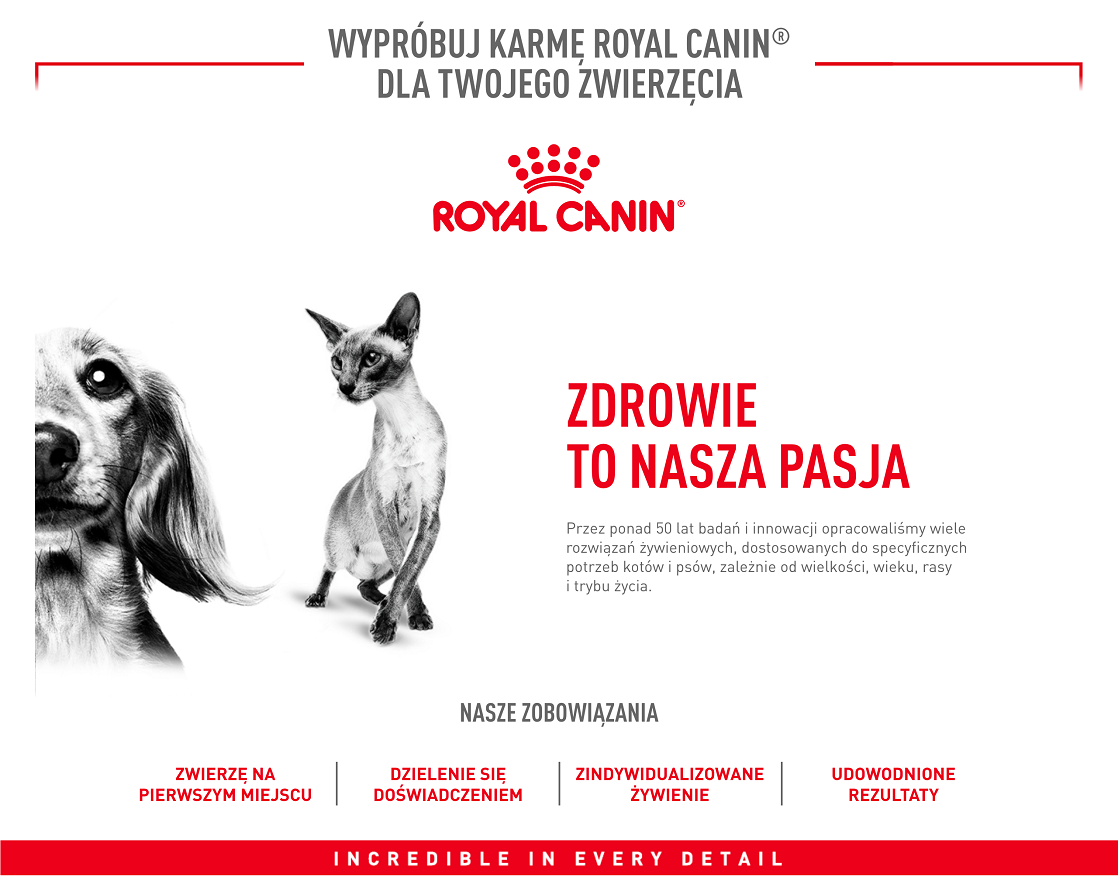 ROYAL CANIN Medium Adult 15kg karma sucha dla psów dorosłych, ras średnich