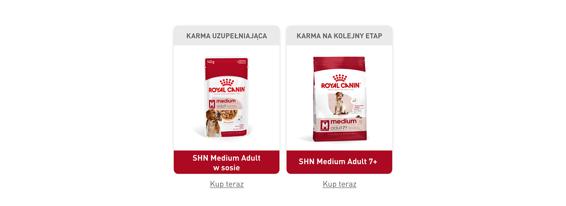 ROYAL CANIN Medium Adult 15kg karma sucha dla psów dorosłych, ras średnich
