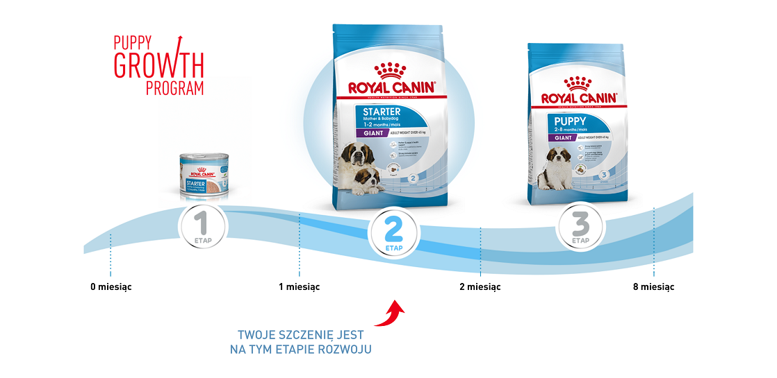 ROYAL CANIN Giant starter mother & babydog 15 kg