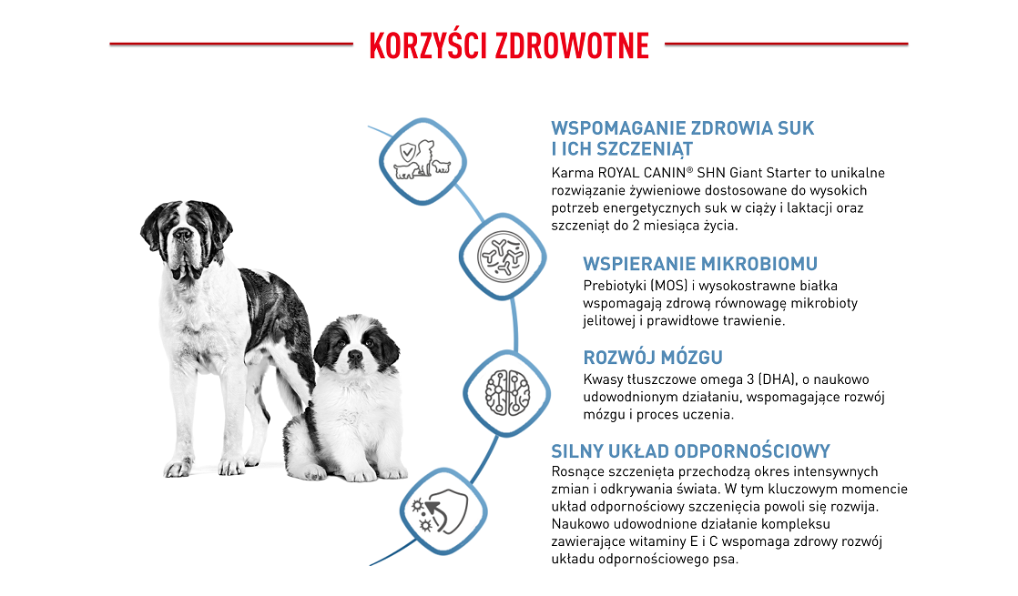 ROYAL CANIN Giant starter mother & babydog 15 kg