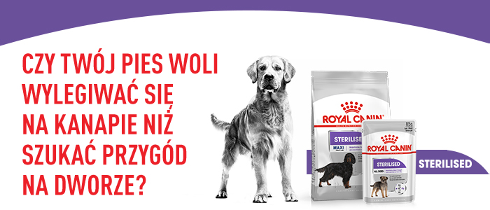 ROYAL CANIN CCN Maxi Sterilised 12 kg karma sucha dla psów dorosłych, ras dużych, sterylizowanych