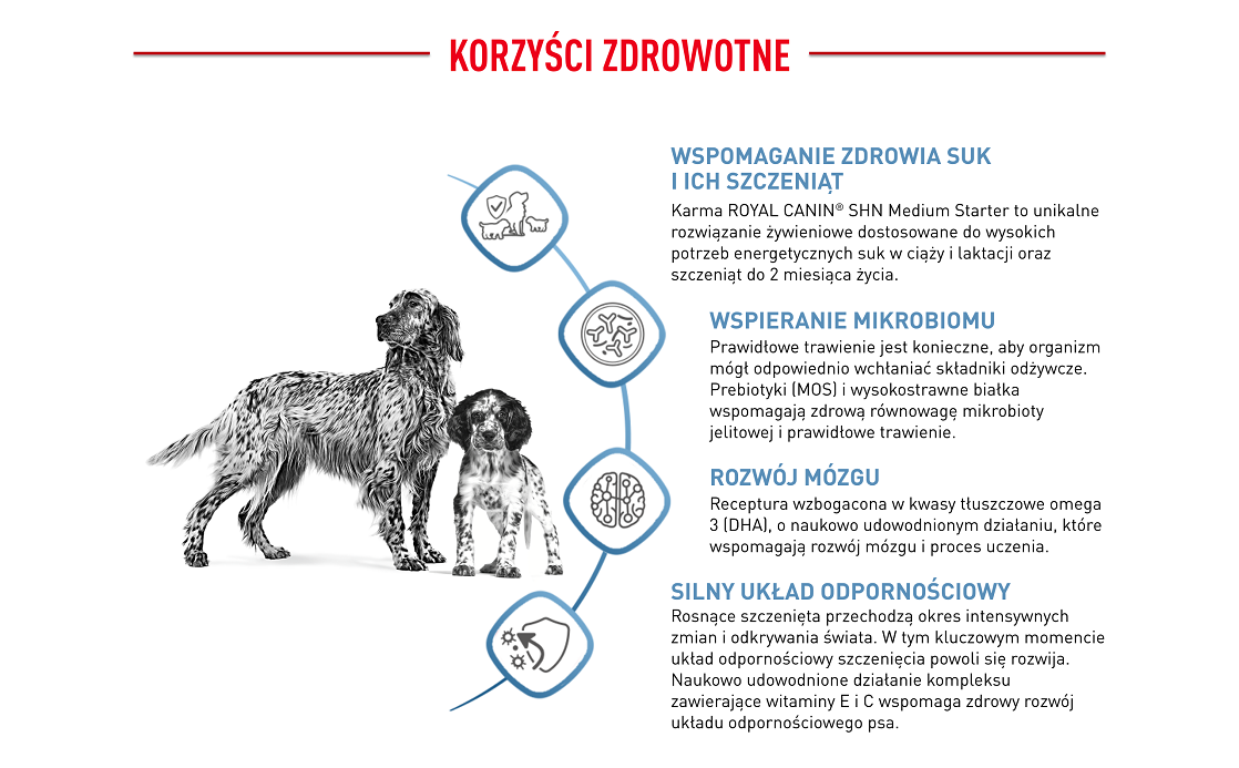 ROYAL CANIN Medium starter mother & babydog 4 kg