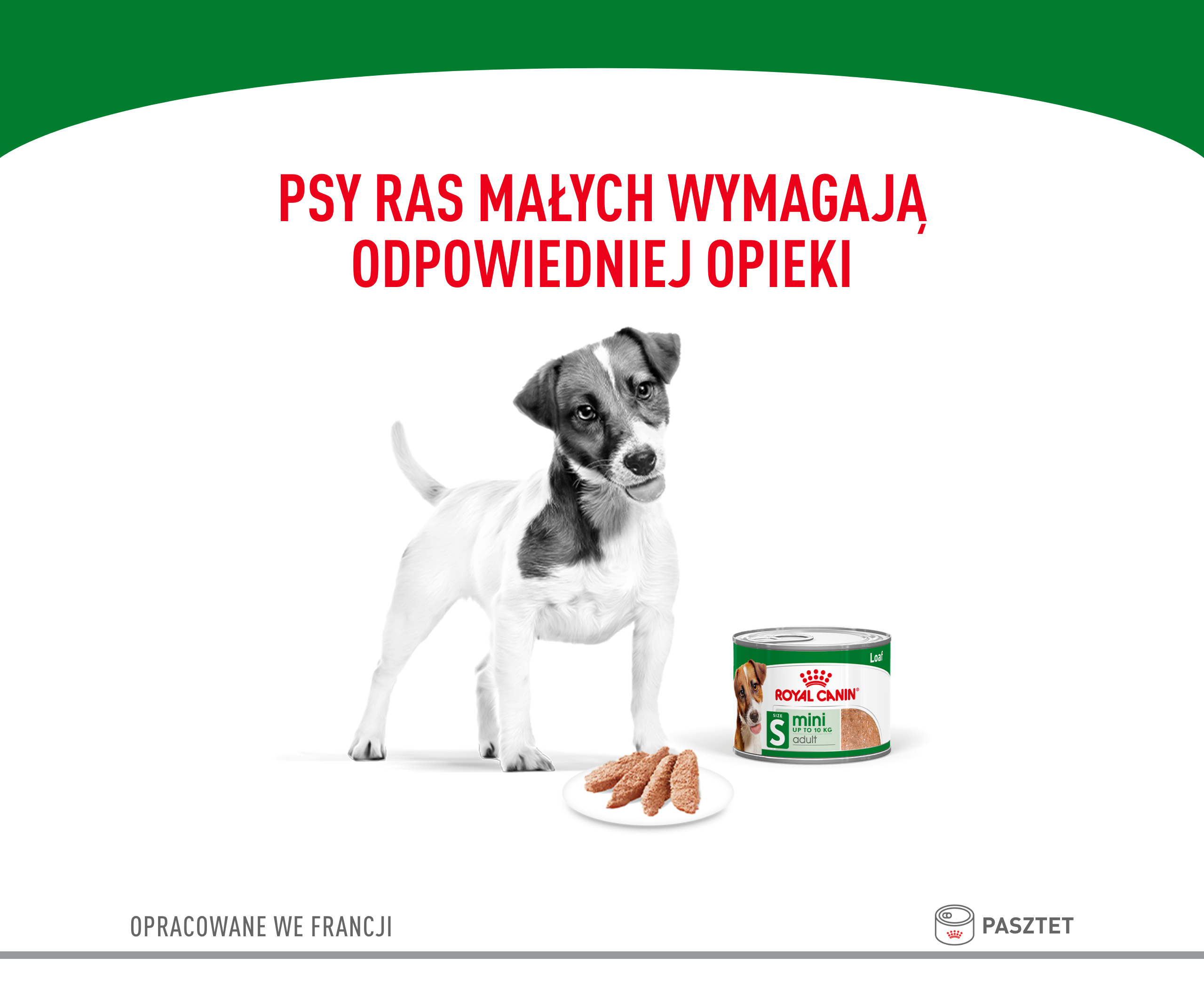 ROYAL CANIN Mini Adult 195 g pasztet