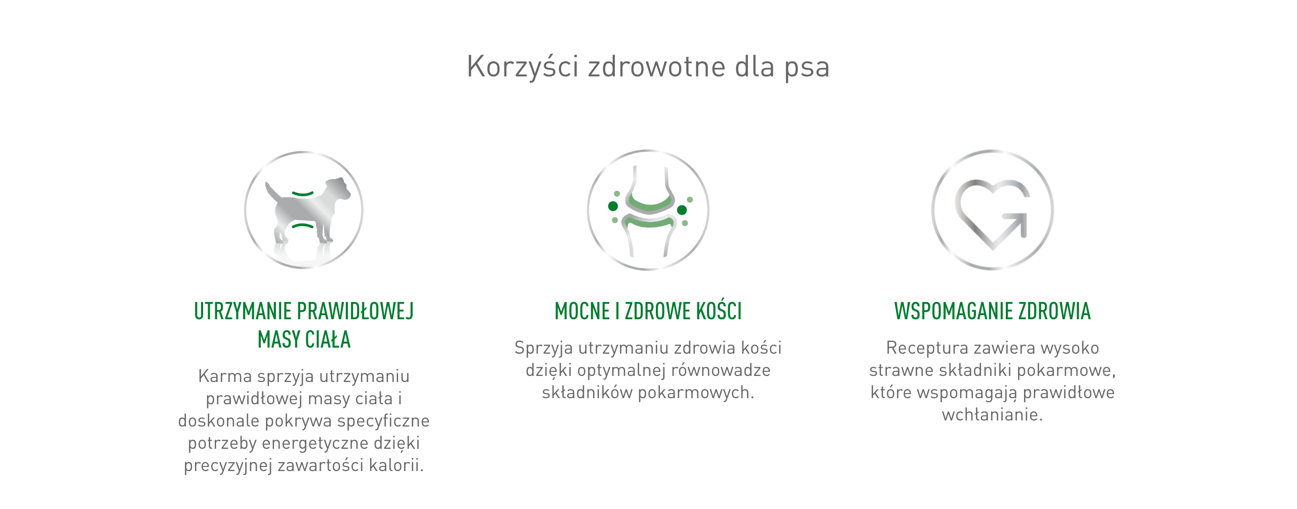 ROYAL CANIN Mini Adult 195 g pasztet