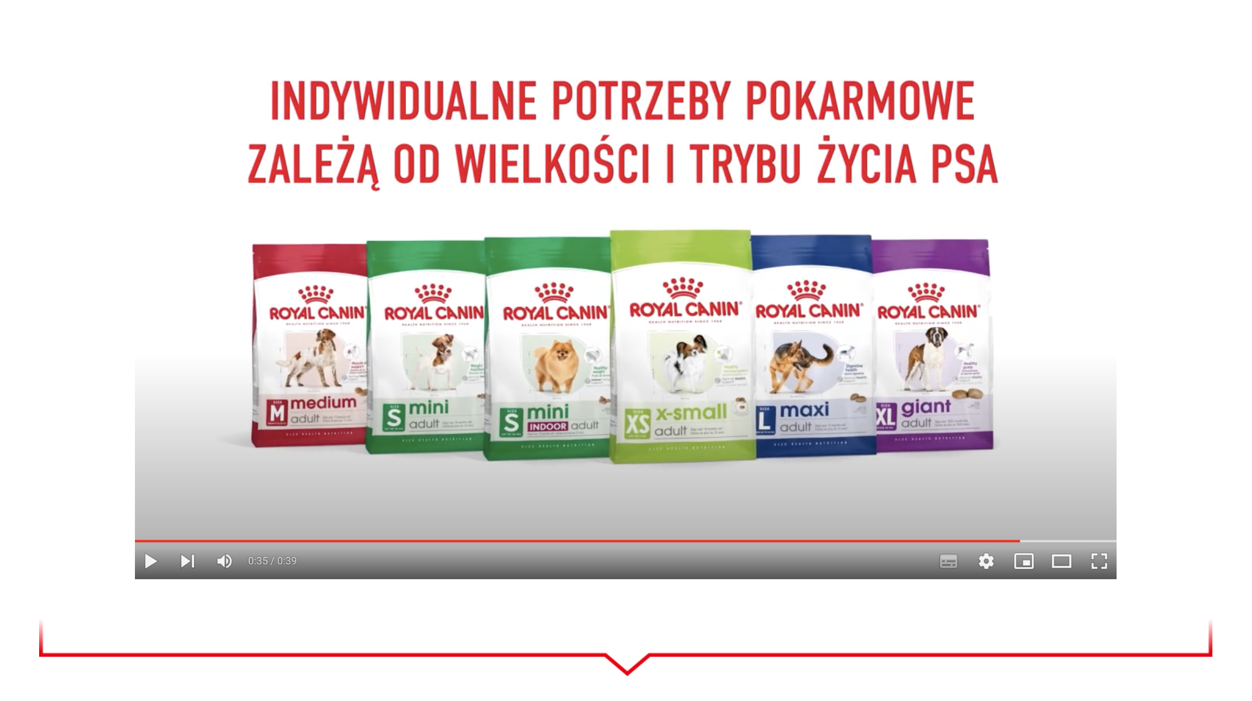 ROYAL CANIN Mini Adult 195 g pasztet