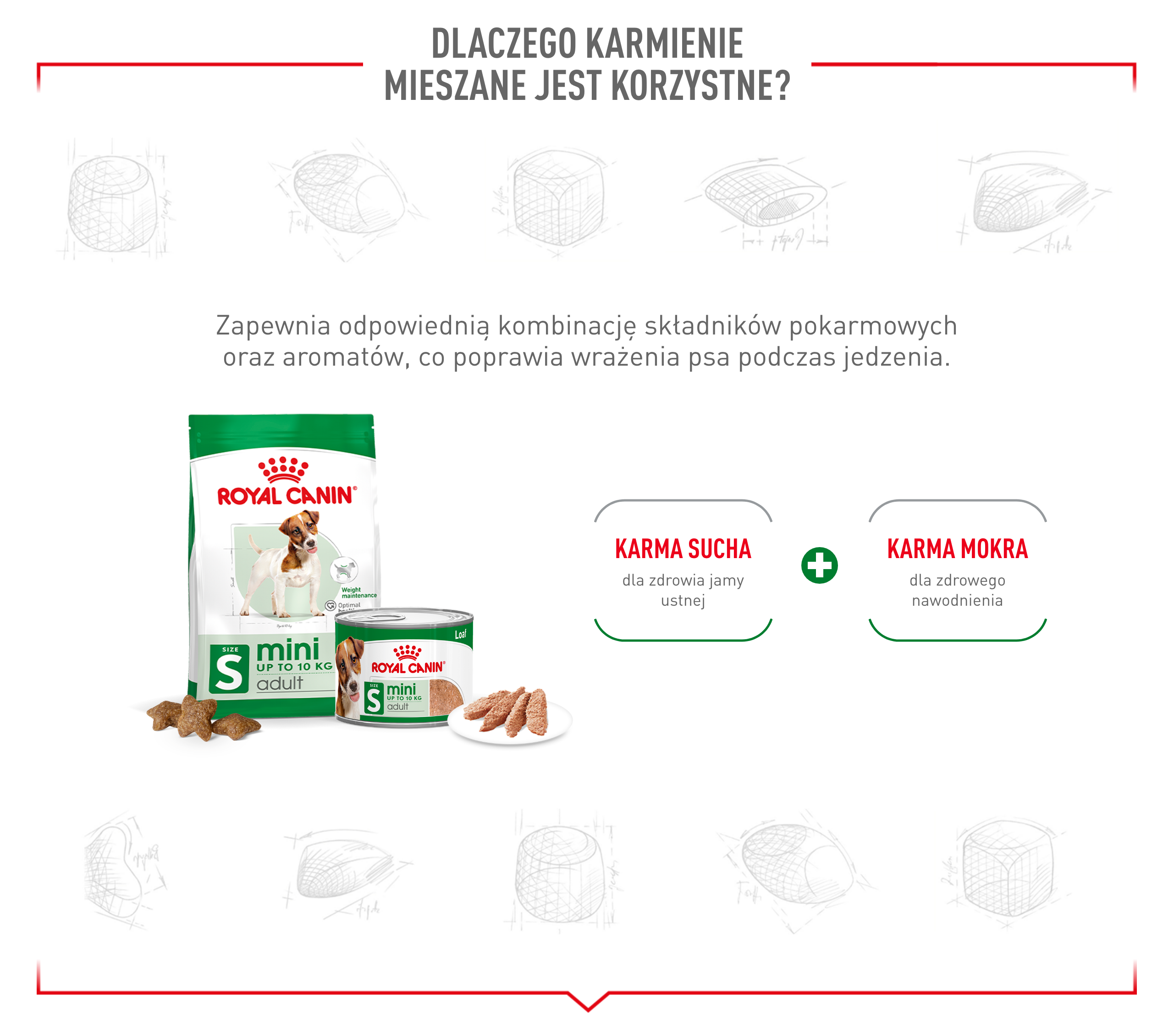 ROYAL CANIN Mini Adult 195 g pasztet