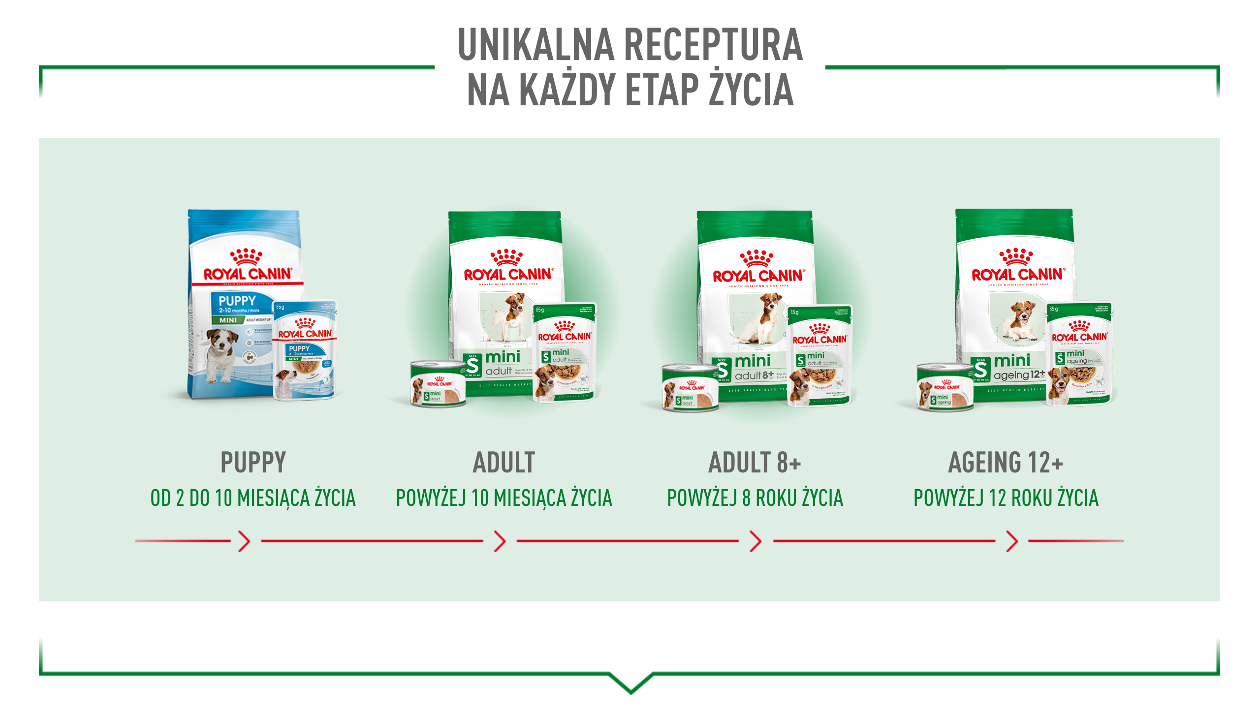 ROYAL CANIN Mini Adult 195 g pasztet