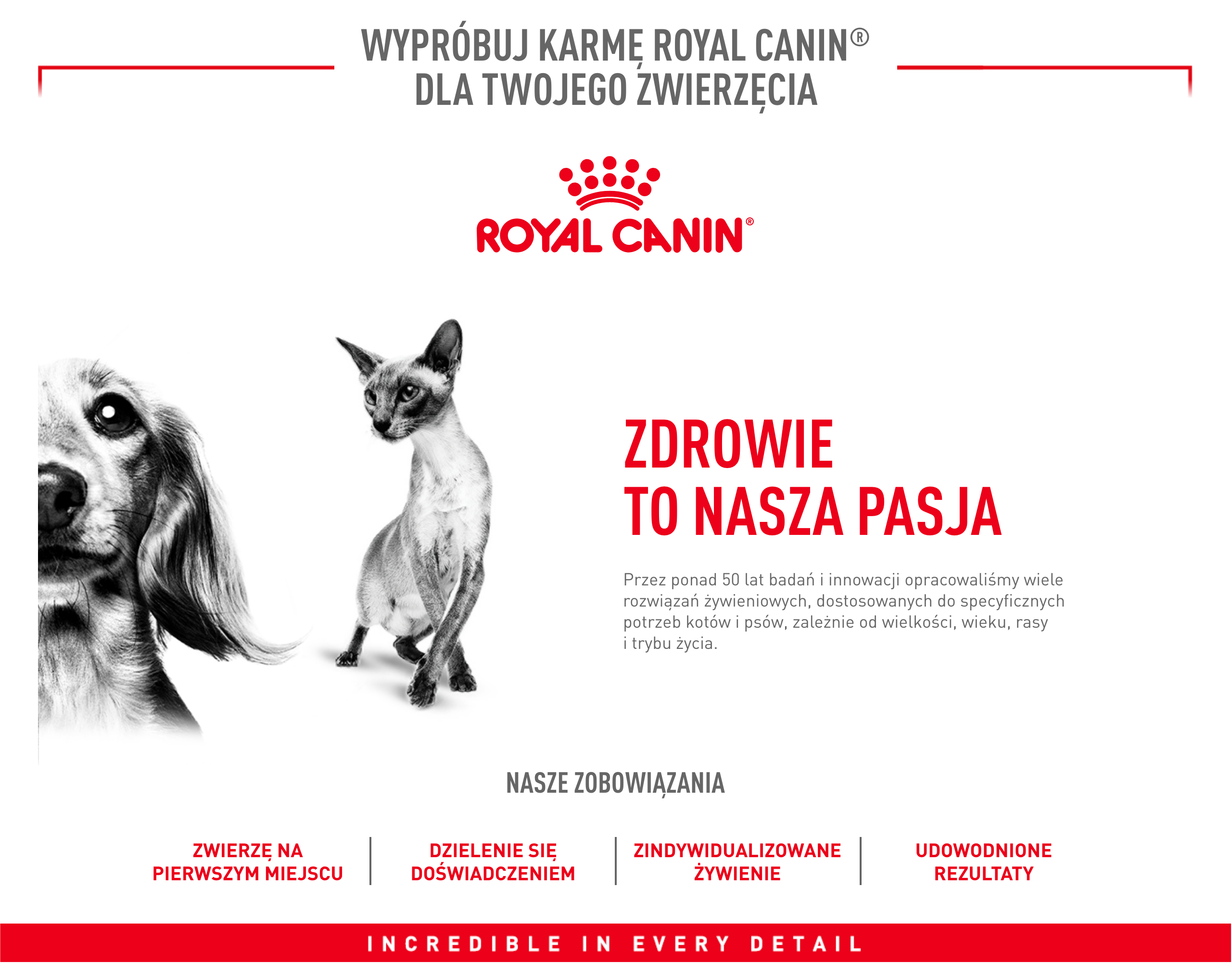ROYAL CANIN Mini Adult 195 g pasztet