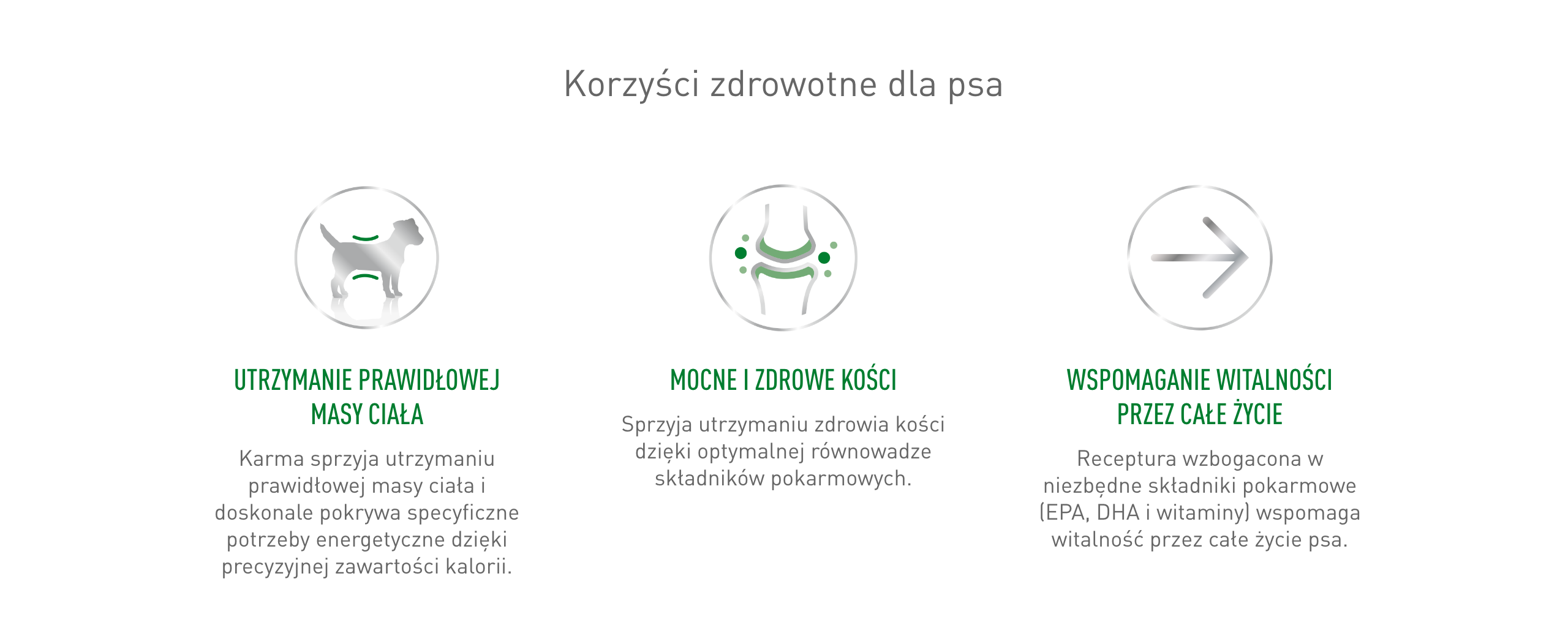 ROYAL CANIN Mini Age 8+