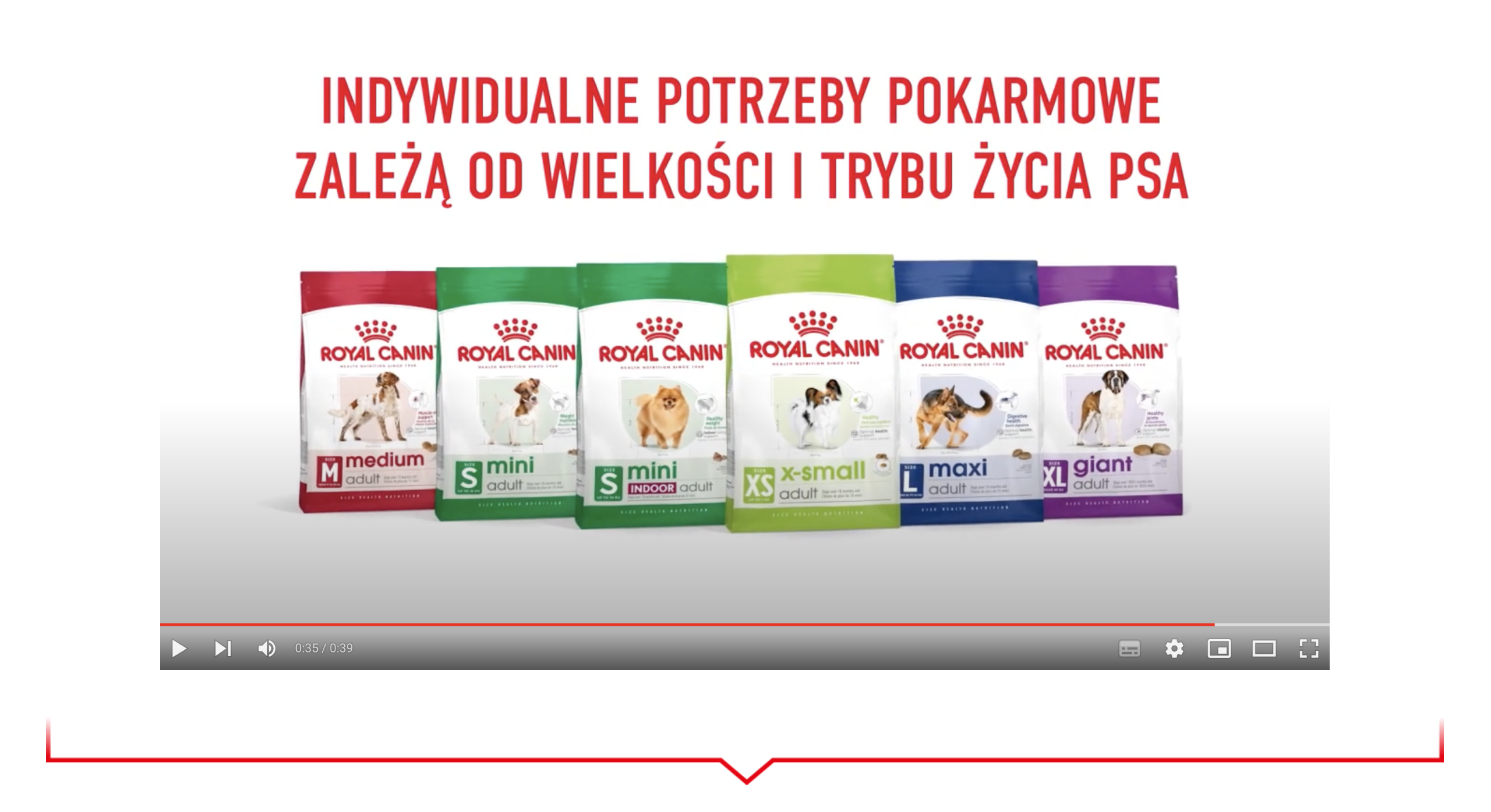 ROYAL CANIN Mini Age 8+