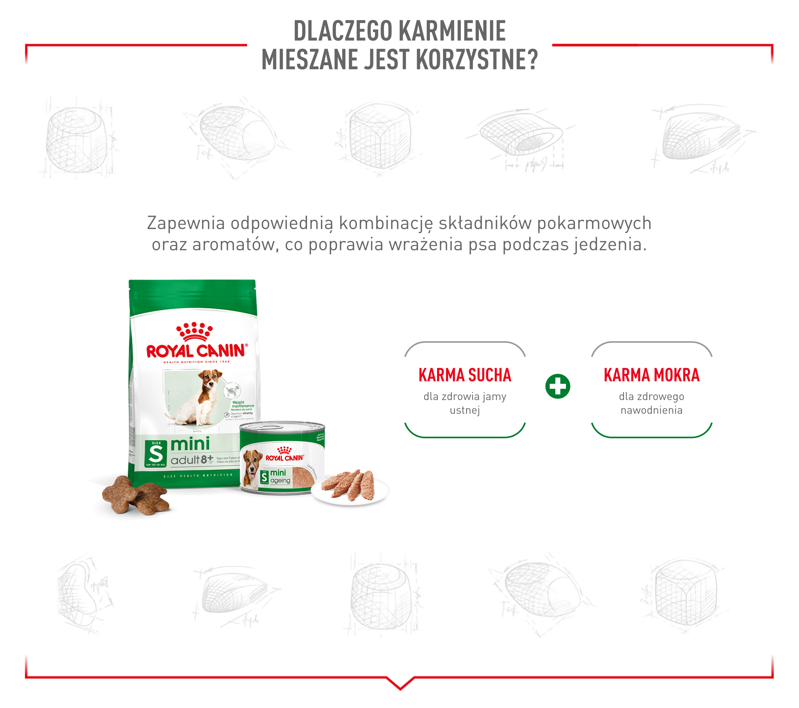 ROYAL CANIN Mini Age 8+