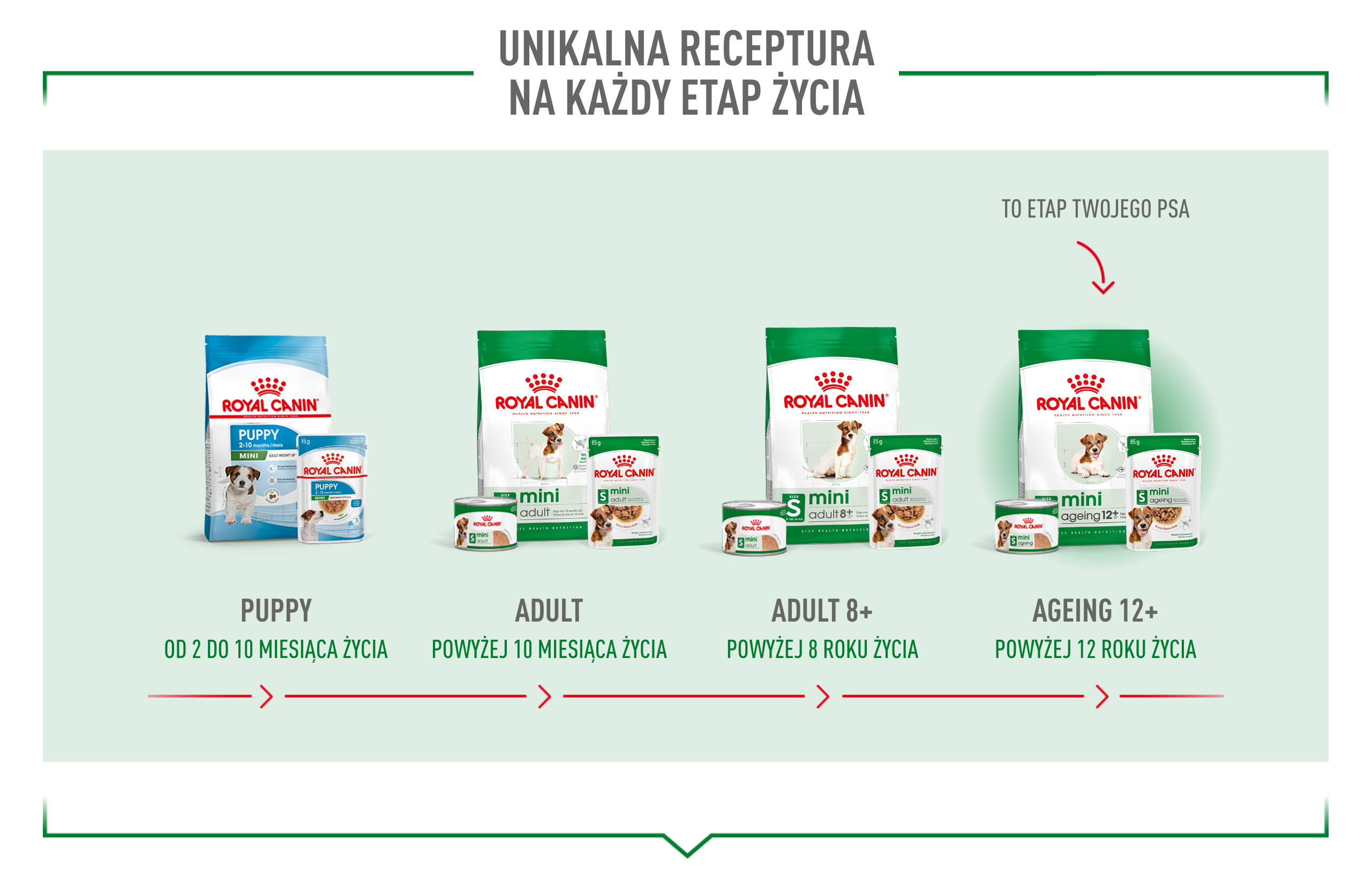 ROYAL CANIN Mini Age 8+