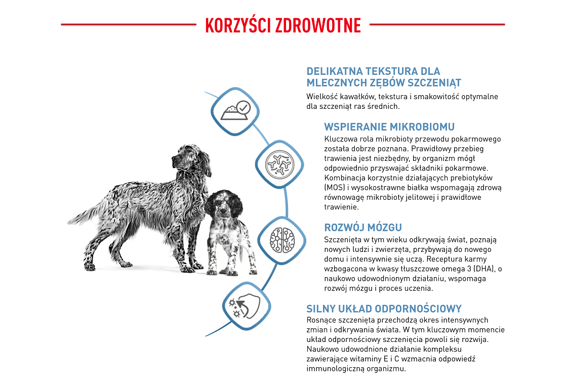 ROYAL CANIN Medium Puppy in gravy 10x140 g