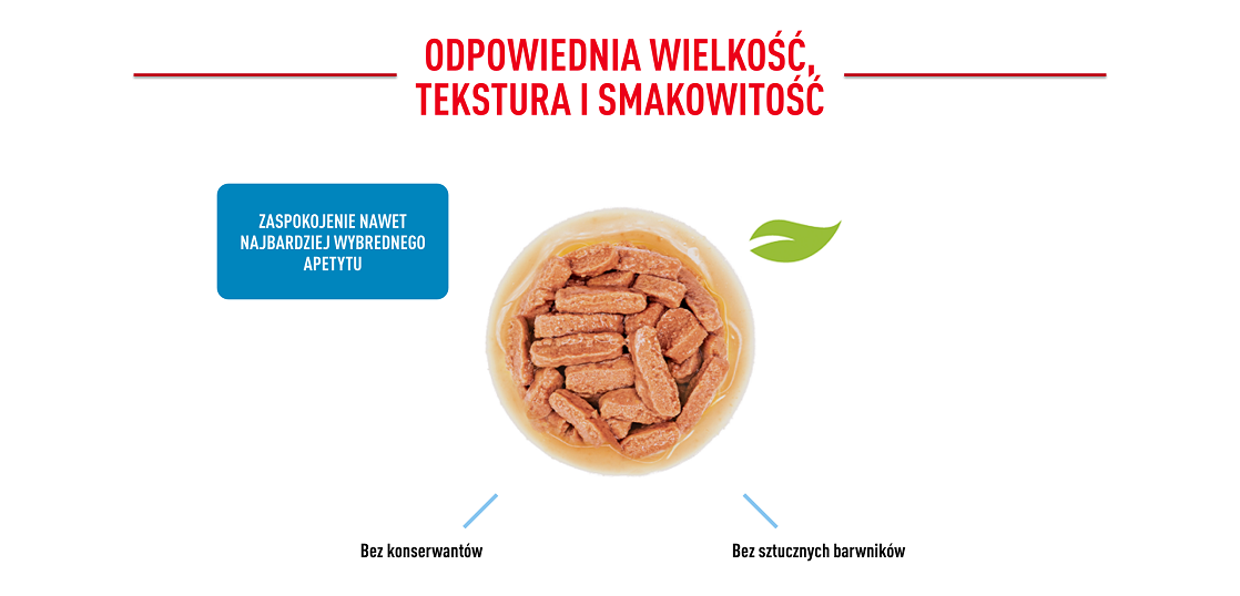 ROYAL CANIN Medium Puppy in gravy 10x140 g