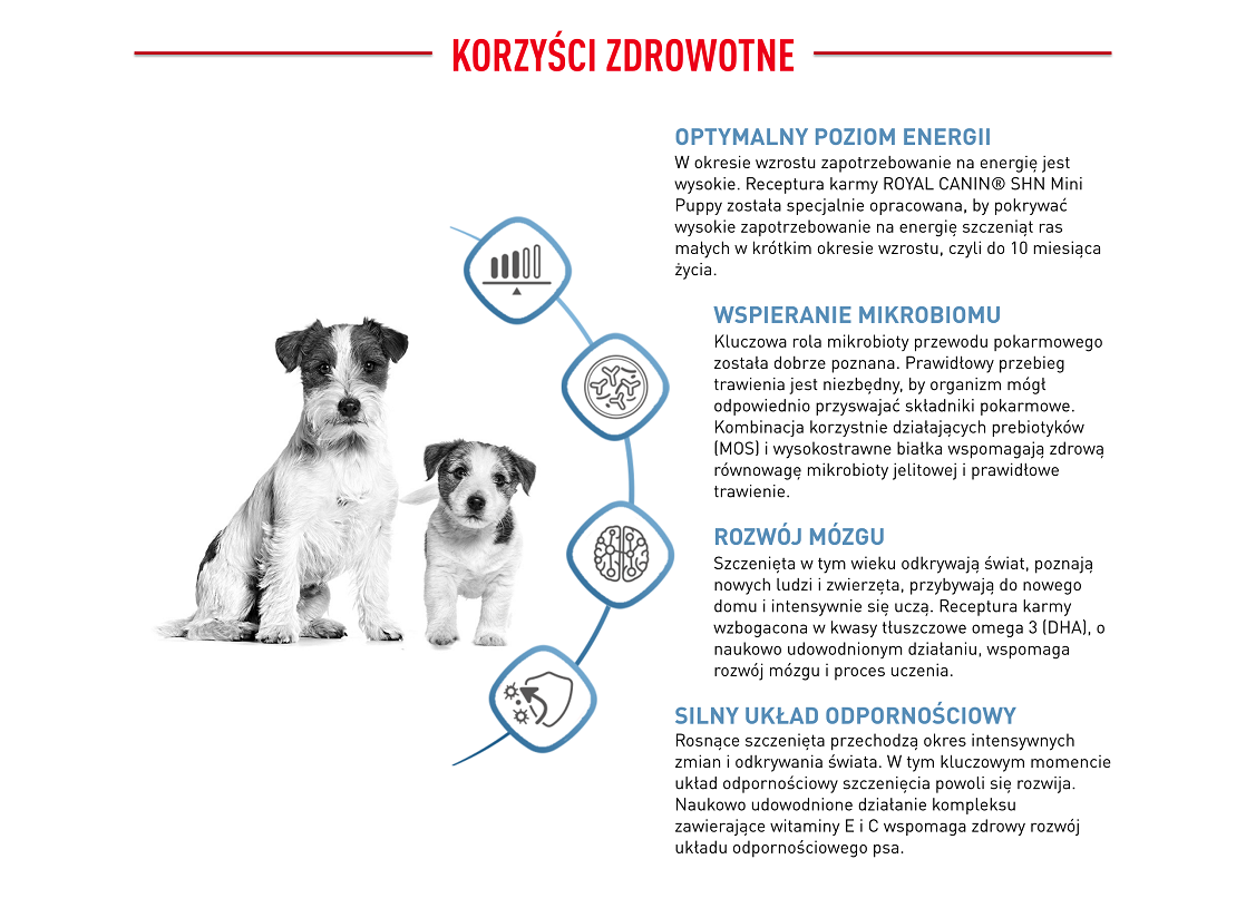 ROYAL CANIN Mini Puppy / Junior 800 g 