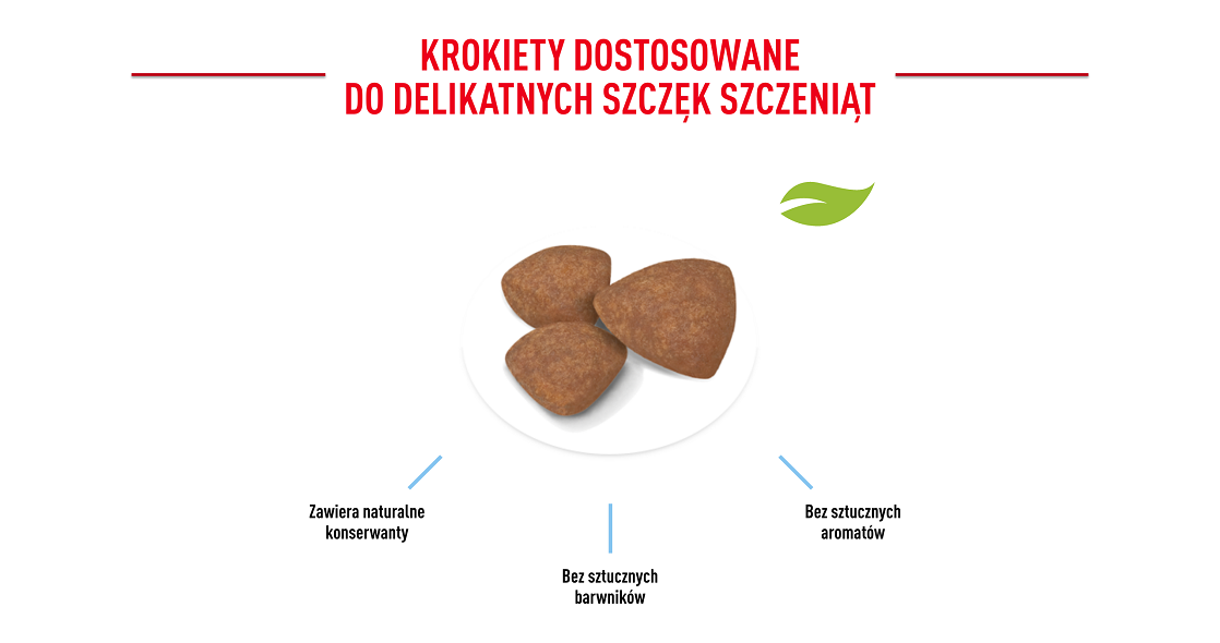 ROYAL CANIN Mini Puppy / Junior 800 g 